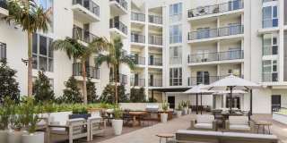 The Fifty Five Fifty Gallery 4