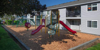 Avana Evergreen Gallery 40