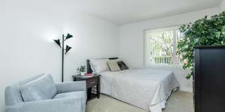 Park Sierra Gallery 7