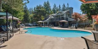 Madison Sammamish Gallery 2