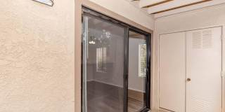 Mountain Springs Gallery 62