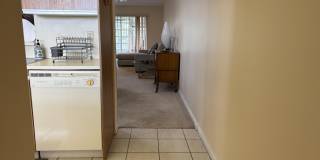 2202 Lucaya Bend Gallery 5