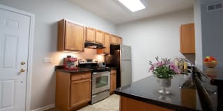 Spinnaker Crest Gallery 3