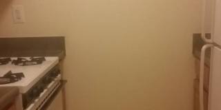 476 Cleveland Street, Ground Floor Gallery 1