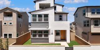 422 Lobata Gallery 1