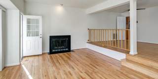 10723 GLOXINIA Gallery 1