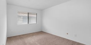 7137 Shoup Avenue Gallery 21