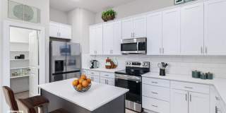 HAMILTON PLAN Gallery 1