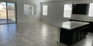 1420 Starling Street Gallery 4