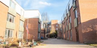 Silver Pond Gallery 21