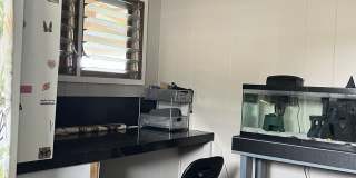 9 Hanohano Street Gallery 3