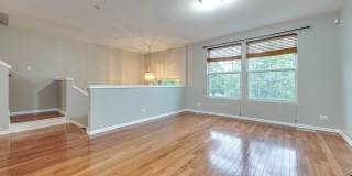 496 Belvedere Lane Gallery 12