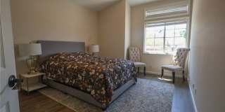 28462 La Plumosa Gallery 15