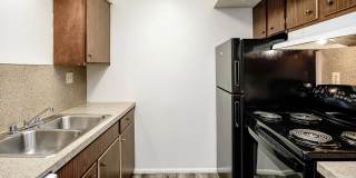 Tara Heights Gallery 1