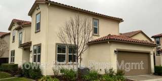 6436 Brando Loop Gallery 2