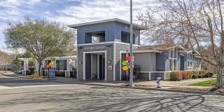 Acacia on Santa Rosa Creek Gallery 1