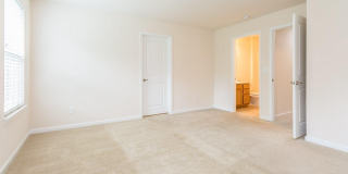 473 Panorama View Loop Gallery 11