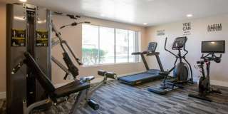 Icon on Stella Gallery 12