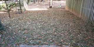 Exquisite Renovated Townhome in Germantown Estates Gallery 22