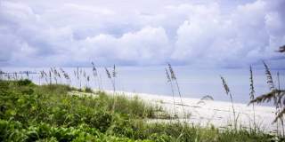 Waterline Bonita Springs Gallery 59