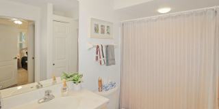 L'Pavia Annual Condo for Rent Gallery 14