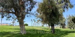 269 Vista Royale Cir W Gallery 54