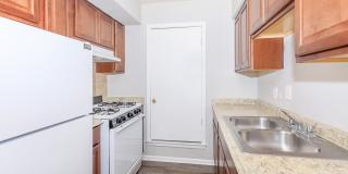 Marine Park Gallery 77