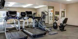 Houston – IAH Airport Gallery 20