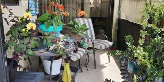 2915 San Remo Cir Gallery 3