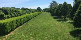 1685 Peconic Lane Gallery 21