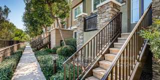 10147 Star Magnolia Lane Gallery 1