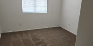 6529 ADONIS HEIGHTS Street Gallery 19