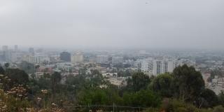 Hillside Terrace Gallery 20