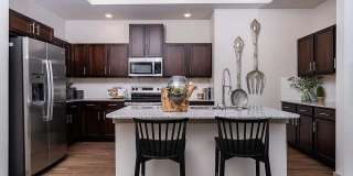 Alders Prosper- 55+ Active Adult Homes Alders Prosper- 55+ Active Adult Homes Gallery 4