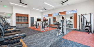 Legacy at Veramendi Gallery 11