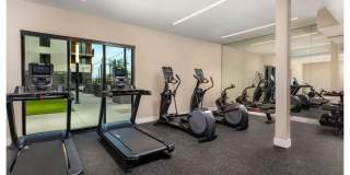 The DeMilo Gallery 16