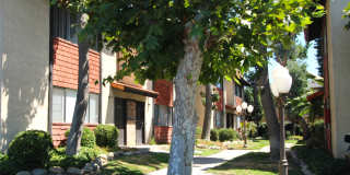 Vineyard Villas Gallery 1