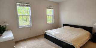 1357 Regulator Street Gallery 15