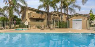 Windrose Apartments Gallery 6