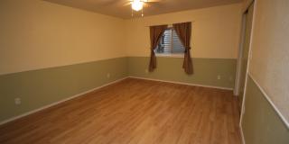 Spacious Home with Finished Basement and Fenced Backyard in 80923 Gallery 5