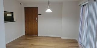 Amazing North Side Condominium Gallery 17