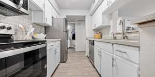 Serafina at South Mountain Gallery 9