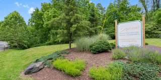 Dream Mountain Hollow Gallery 21