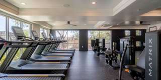 Slate Scottsdale Gallery 8