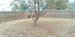 225 Watson - 3/Bed 1.5/Bath - $1295/Month Gallery 19