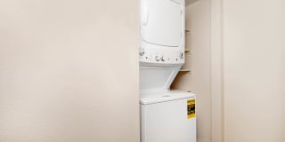 Lantern Cove Gallery 22