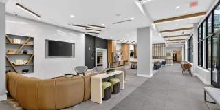 RISE Doro Gallery 51