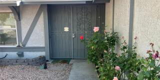 Spacious Single-Story 6-bed 3-bath Oasis with Private Pool and Spa in Spring Valley Gallery 33