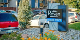 Raven Gallery 21
