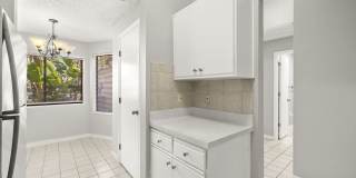 4392 Brooker Creek Dr Gallery 7